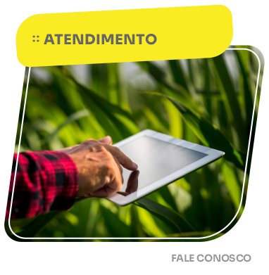 atendimento